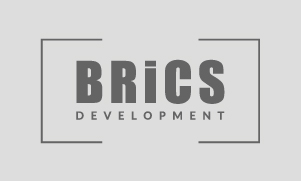 BRiCS Development